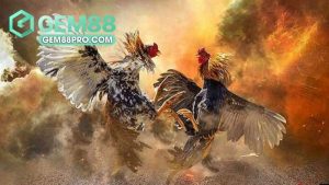 Gem88 Lcanse - Cổng Game Đổi Thưởng Gem88.Com Chính Thức