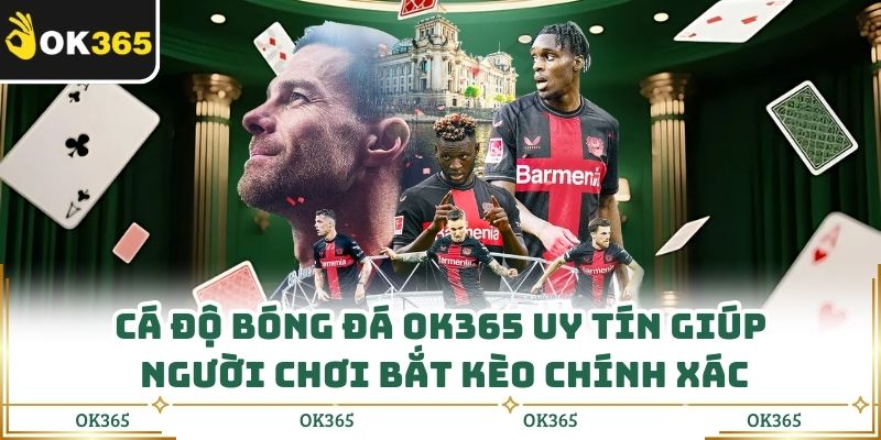 Thể Thao Ok365: Tận Hưởng Cảm Giác Theo Kèo Kịch Tính