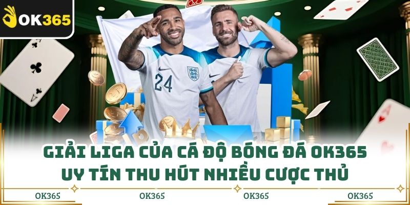Cá Độ Bóng Đá Ok365 Uy Tín Giúp Người Chơi Bắt Kèo Chính Xác