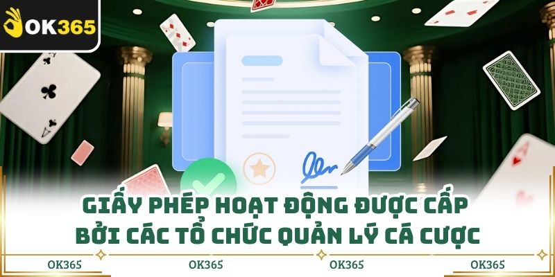 Giấy Phép Hoạt Động: Minh Chứng Pháp Lý Cho Sự An Toàn